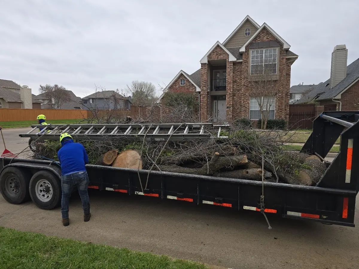 Expert Lot Clearing with proper safety equipment in Rockbridge Baths